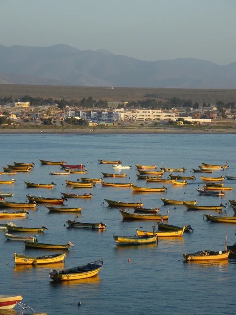 Caleta de Tongoy, parte de la identidad costera de Coquimbo