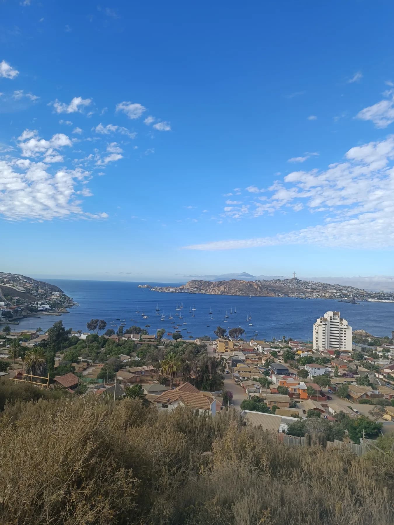 La bahía de La Herradura vista desde el cerro