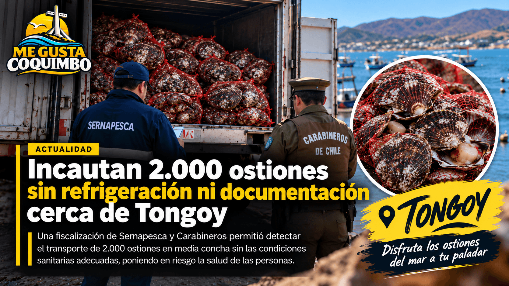 Tras decomiso de 2.000 ostiones cerca de Tongoy, llaman a preferir el consumo seguro y la gastronomía local