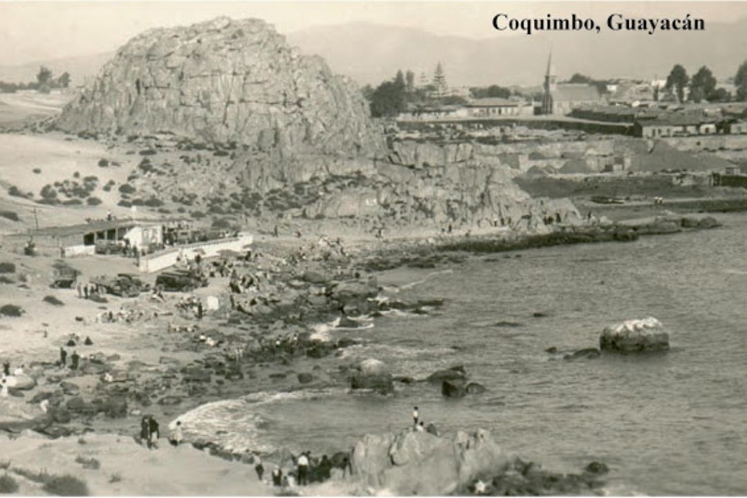 Guayacán